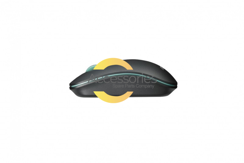 WT300 black and blue mouse