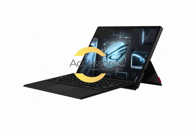 Asus Laptop Parts for GZ301Z