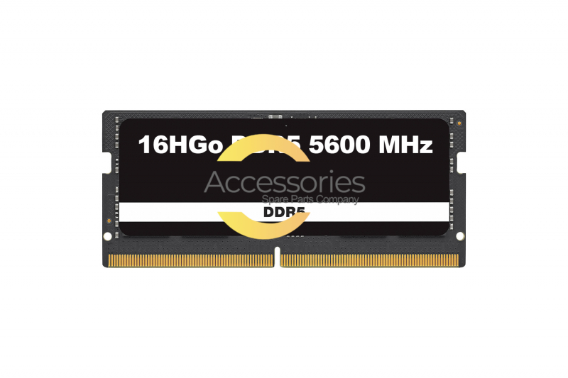 Tira de memoria de 16 GB DDR5 5600 MHz