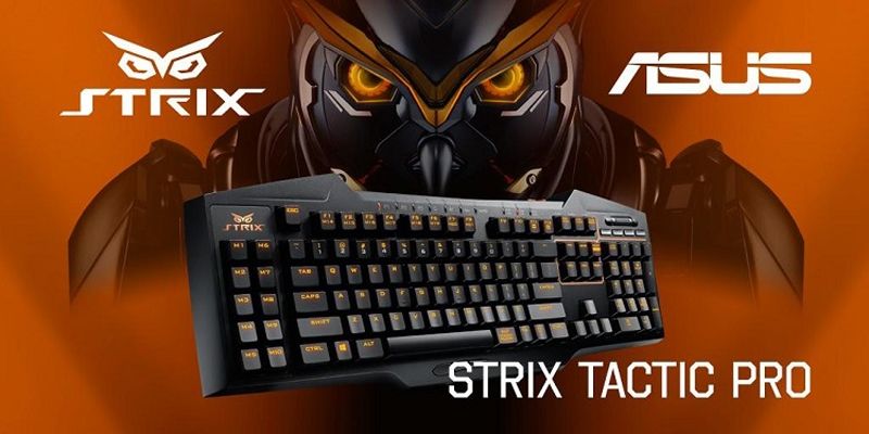 Strix, gamer keyboard Cherry MX