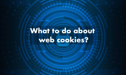 What are internet cookies
